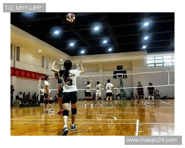 运动数据南京排球队的节奏解析与深度剖析排球运动的魅力与挑战